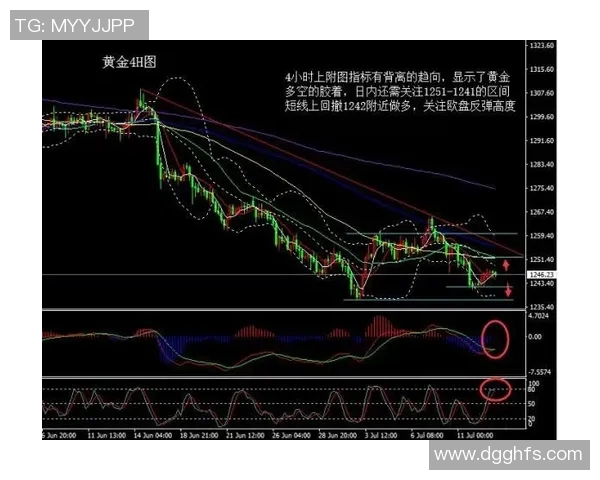 独家解析北京排球队运动员速度差异及其对比赛表现的影响 独家解析北京排球队运动员速度差异及其对比赛表现的影响
