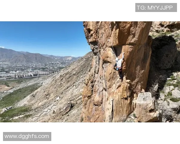 攀岩人生的深度对话：杨强如何在岩壁上书写自我与梦想