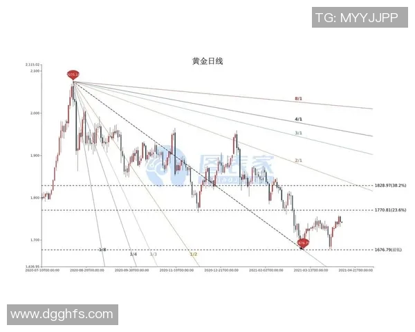 深度分析西安排球队的阵地战战术与执行策略解析