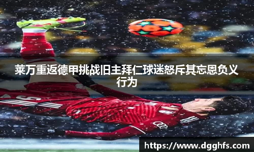 三亿体育